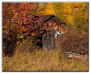 An old blacksmith\'s cabin located near The Fenton House in Sheridan Montana.