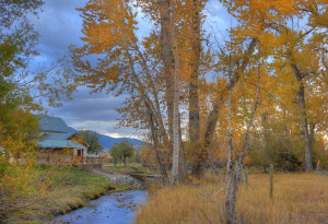 DSC_6480_1_2_3_4_tonemapped.tif_001